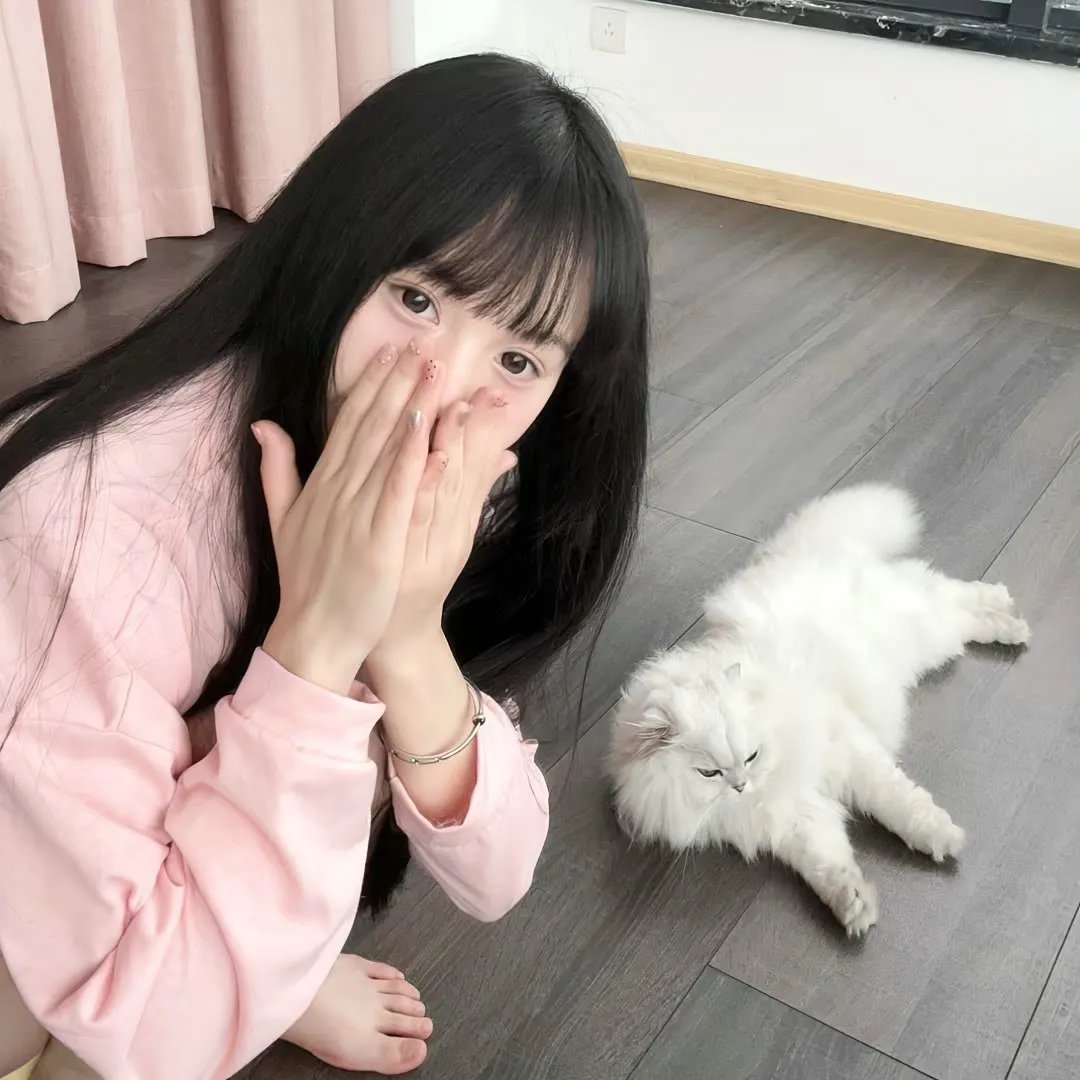 嗜血狂鲨